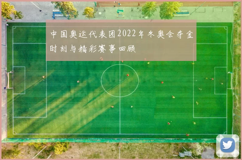 中国奥运代表团2022年冬奥会夺金时刻与精彩赛事回顾