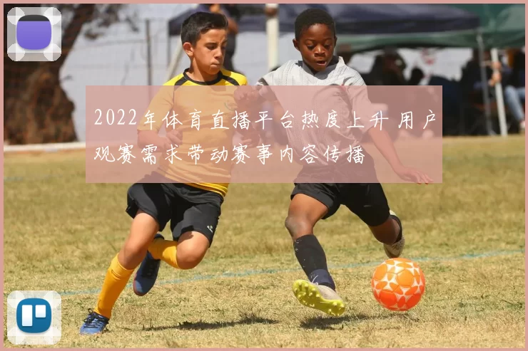 2022年体育直播平台热度上升 用户观赛需求带动赛事内容传播