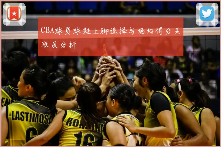 CBA球员球鞋上脚选择与场均得分关联度分析