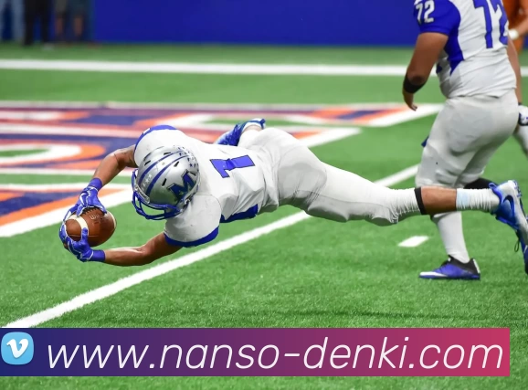 y1体育官网平台生态图